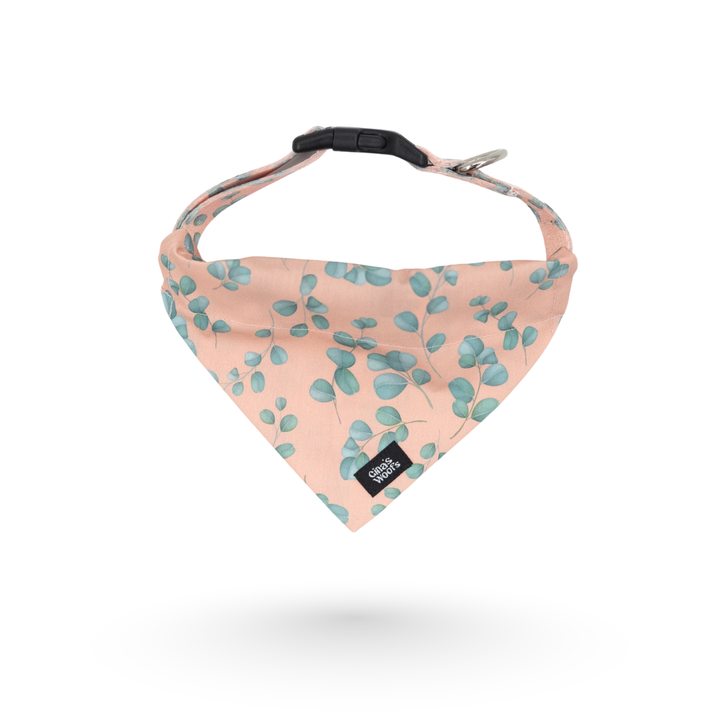 #kolekcija_eucalyptica