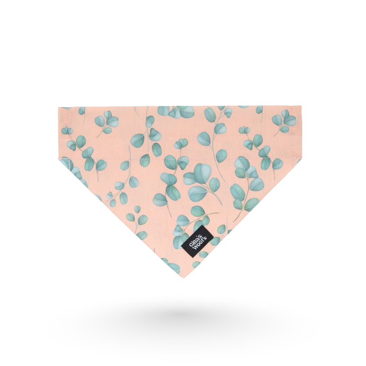 #kolekcija_eucalyptica