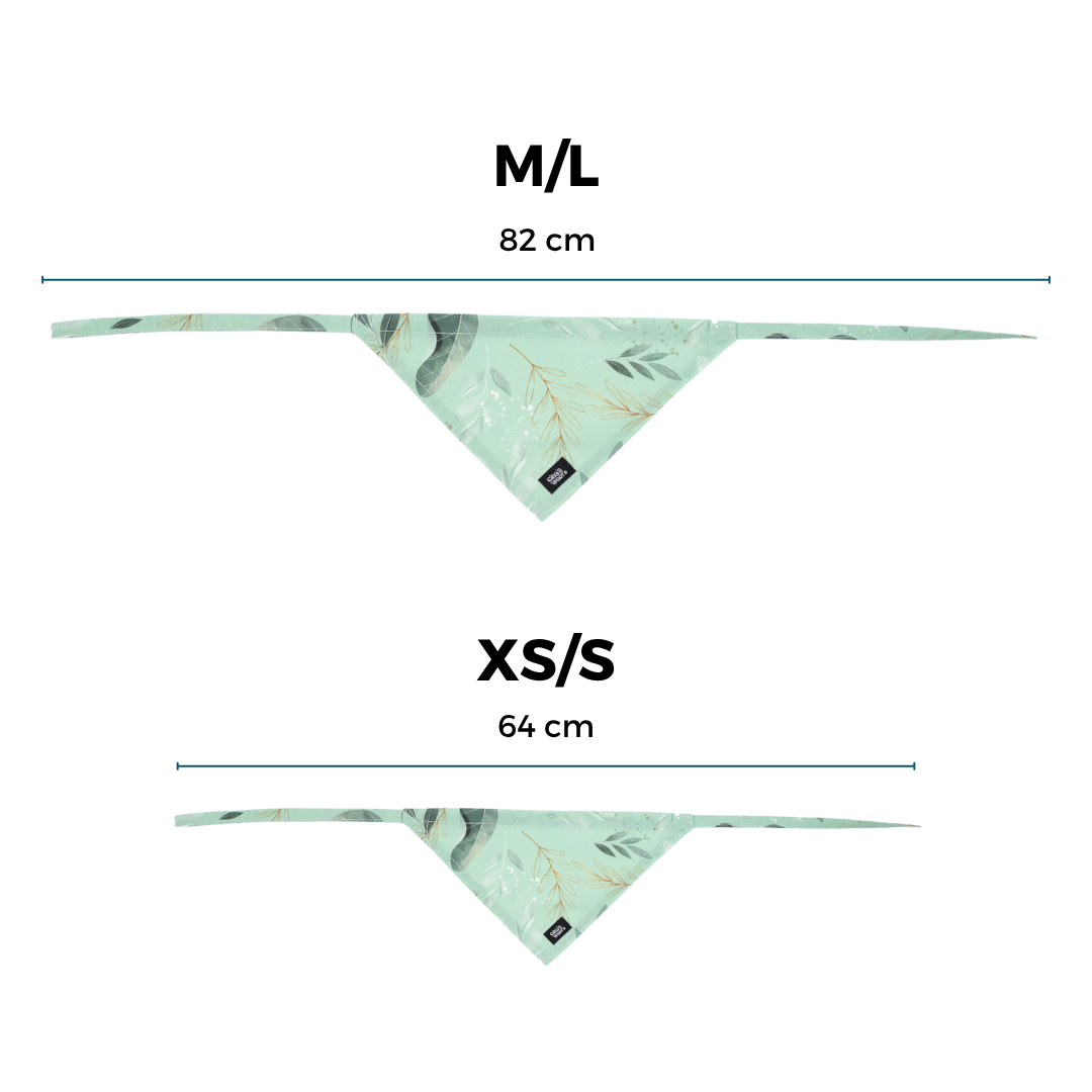 #kolekcija_fever-fetch