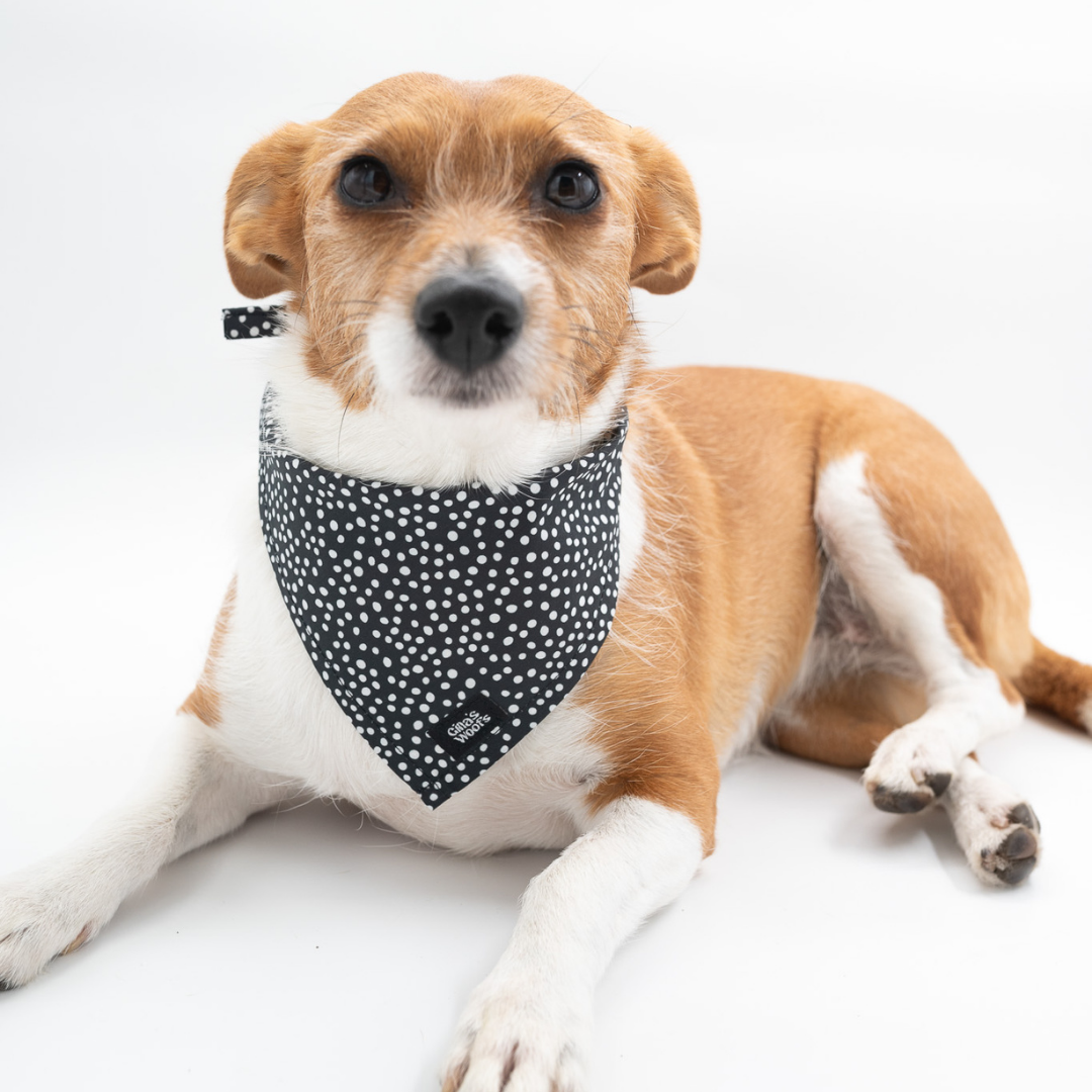 #kolekcija_dots-and-spots