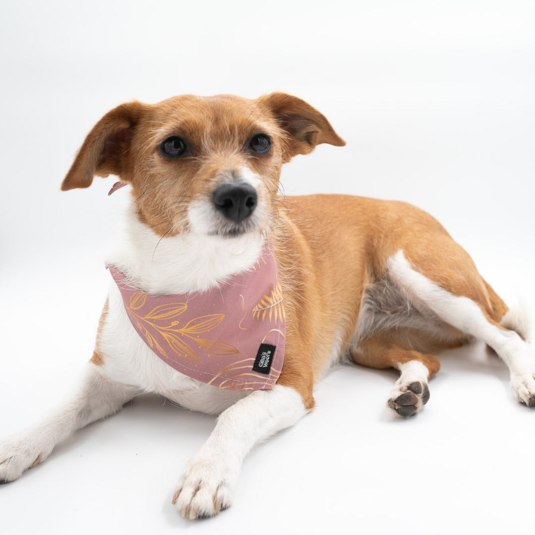 #kolekcija_fern-pink