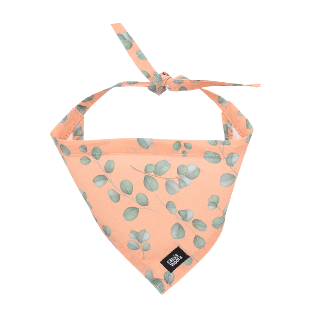 #kolekcija_eucalyptica