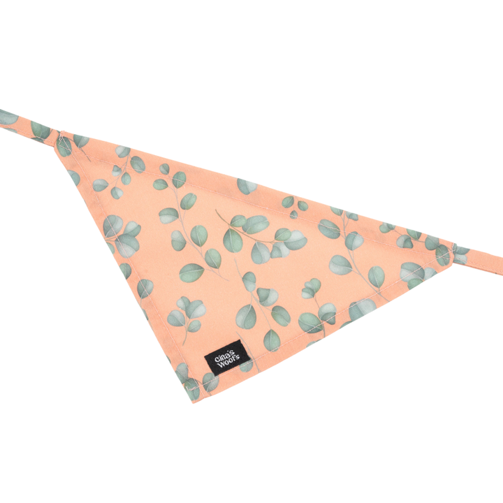 kolekcija_eucalyptica