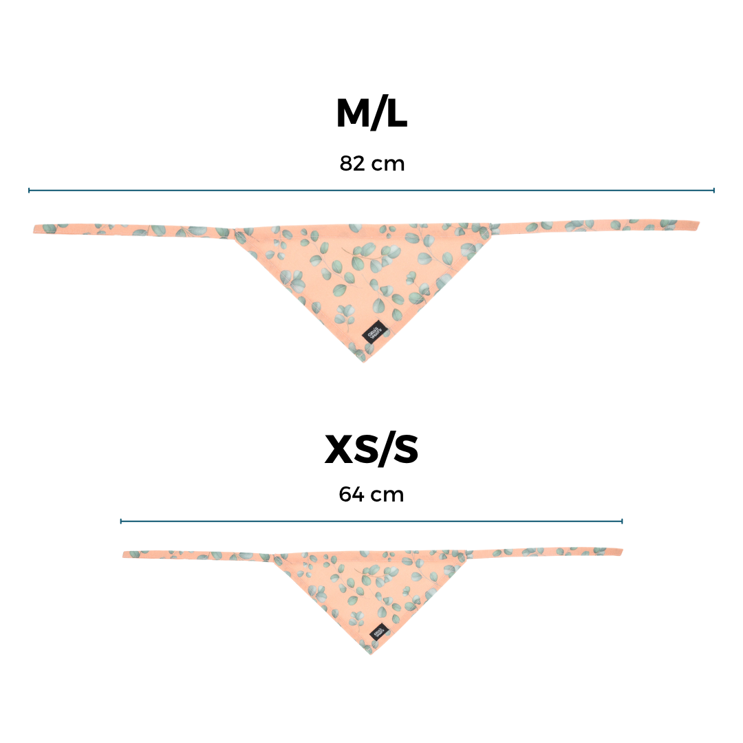 kolekcija_eucalyptica