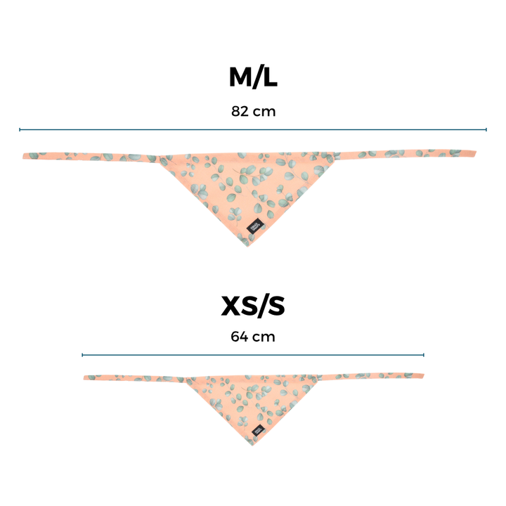 kolekcija_eucalyptica