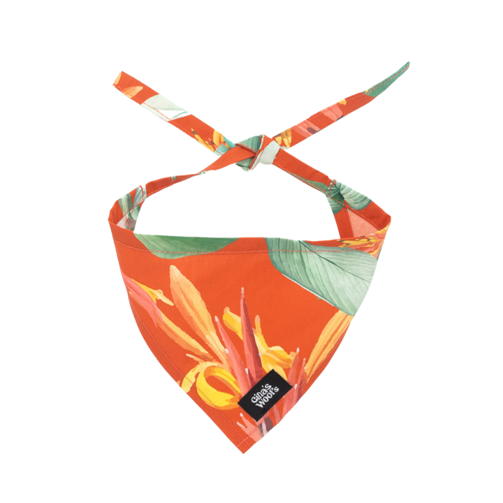 #kolekcija_hoopy-red