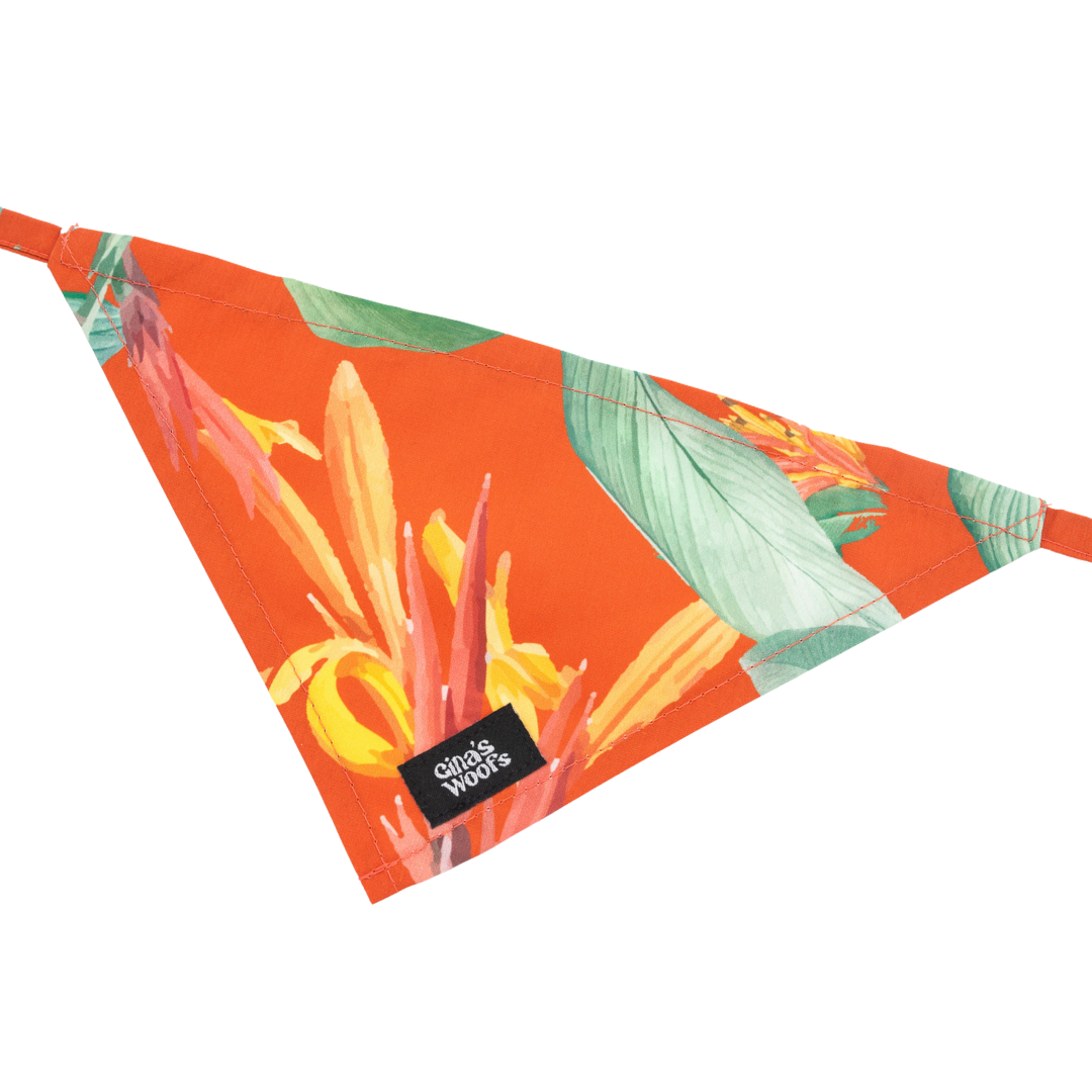 #kolekcija_hoopy-red