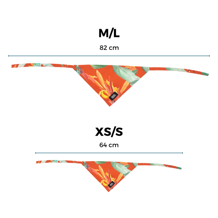 #kolekcija_hoopy-red