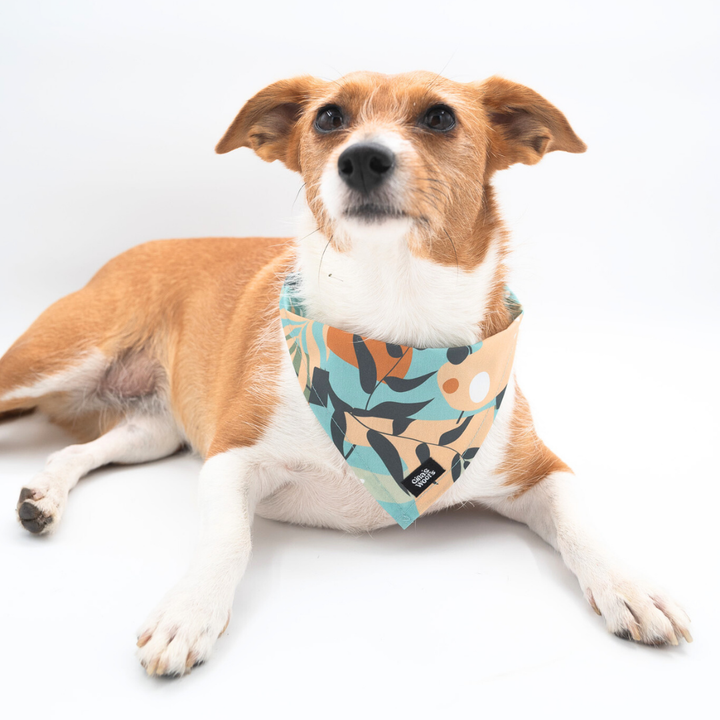 #kolekcija_groovy-vice