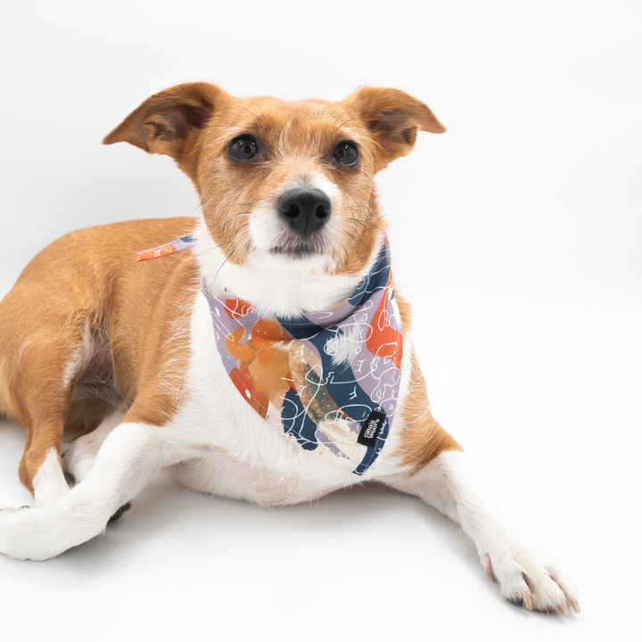 #kolekcija_purple-edge