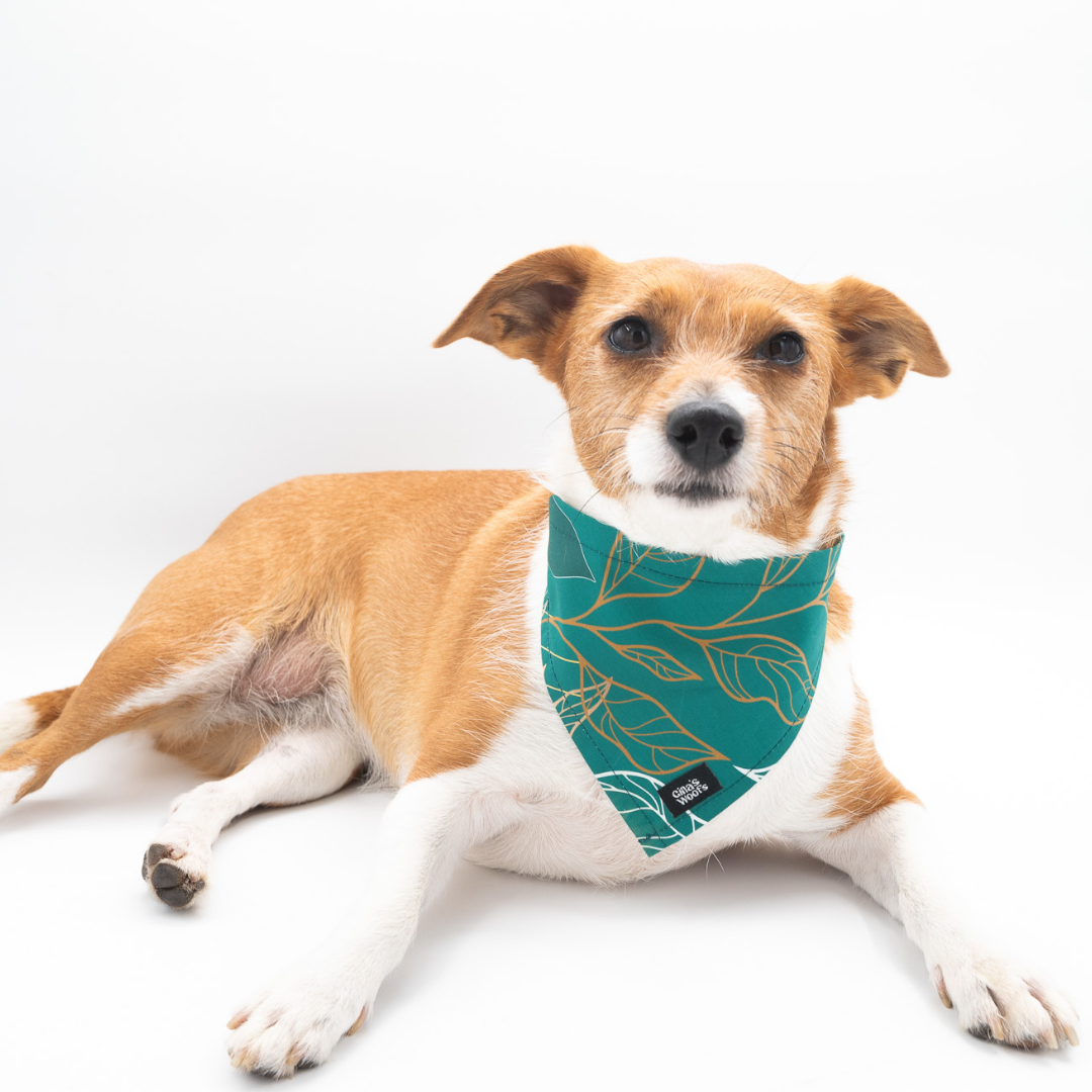 #kolekcija_golden-woods