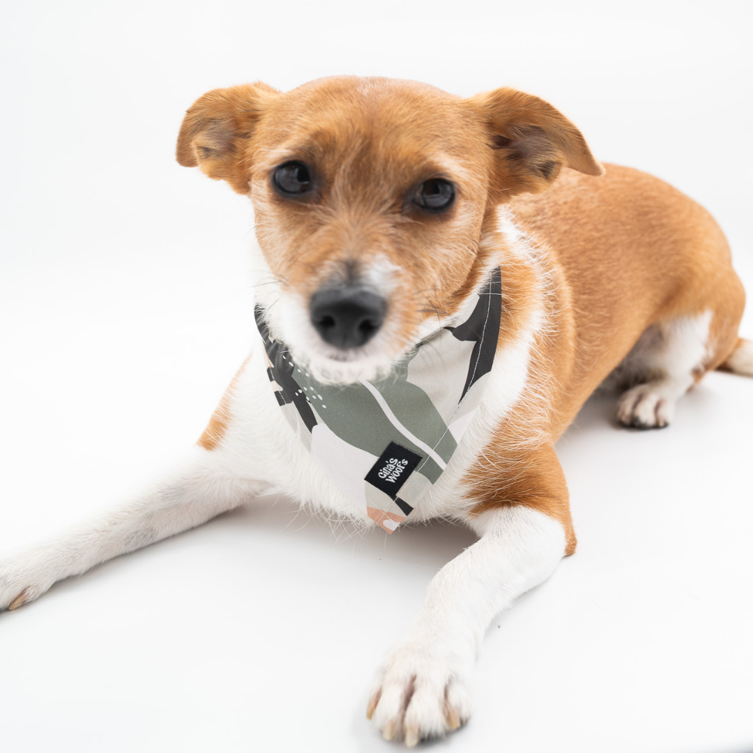 #kolekcija_pastel-jungle