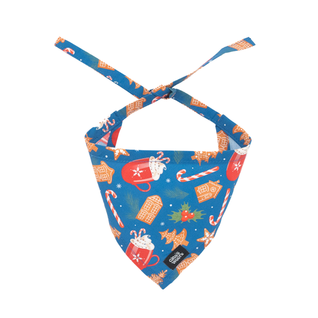 #kolekcija_ginger-hot-blue