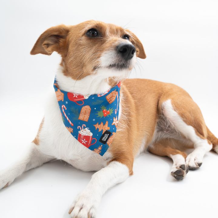 #kolekcija_ginger-hot-blue