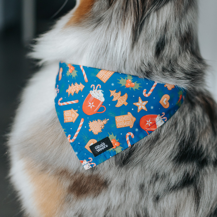 #kolekcija_ginger-hot-blue