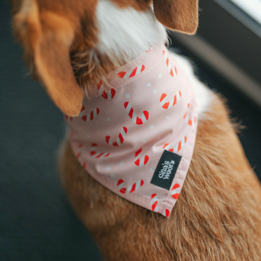 #kolekcija_candy-cane-blush