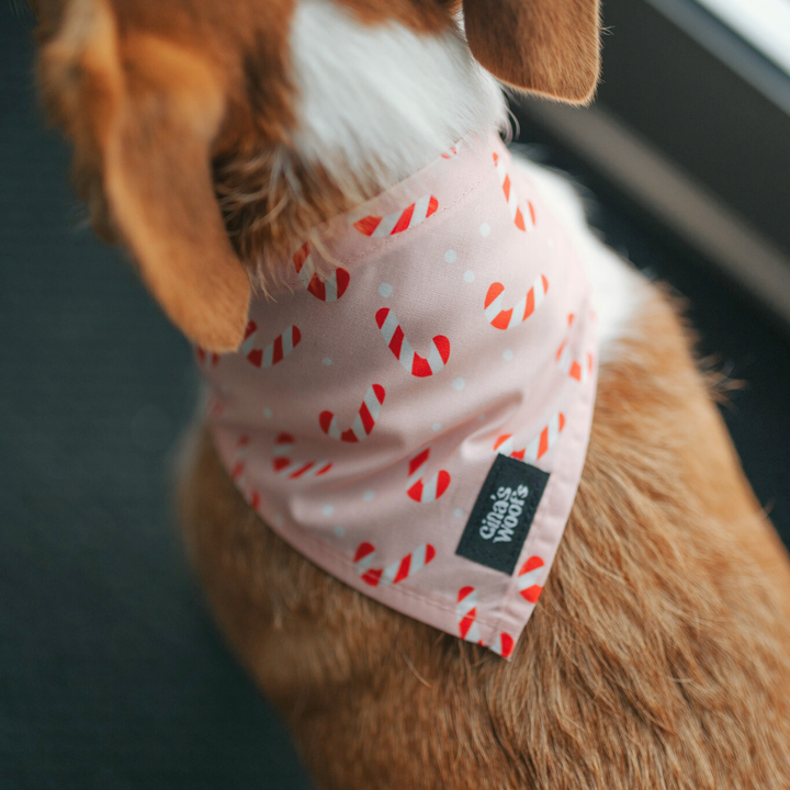 #kolekcija_candy-cane-blush