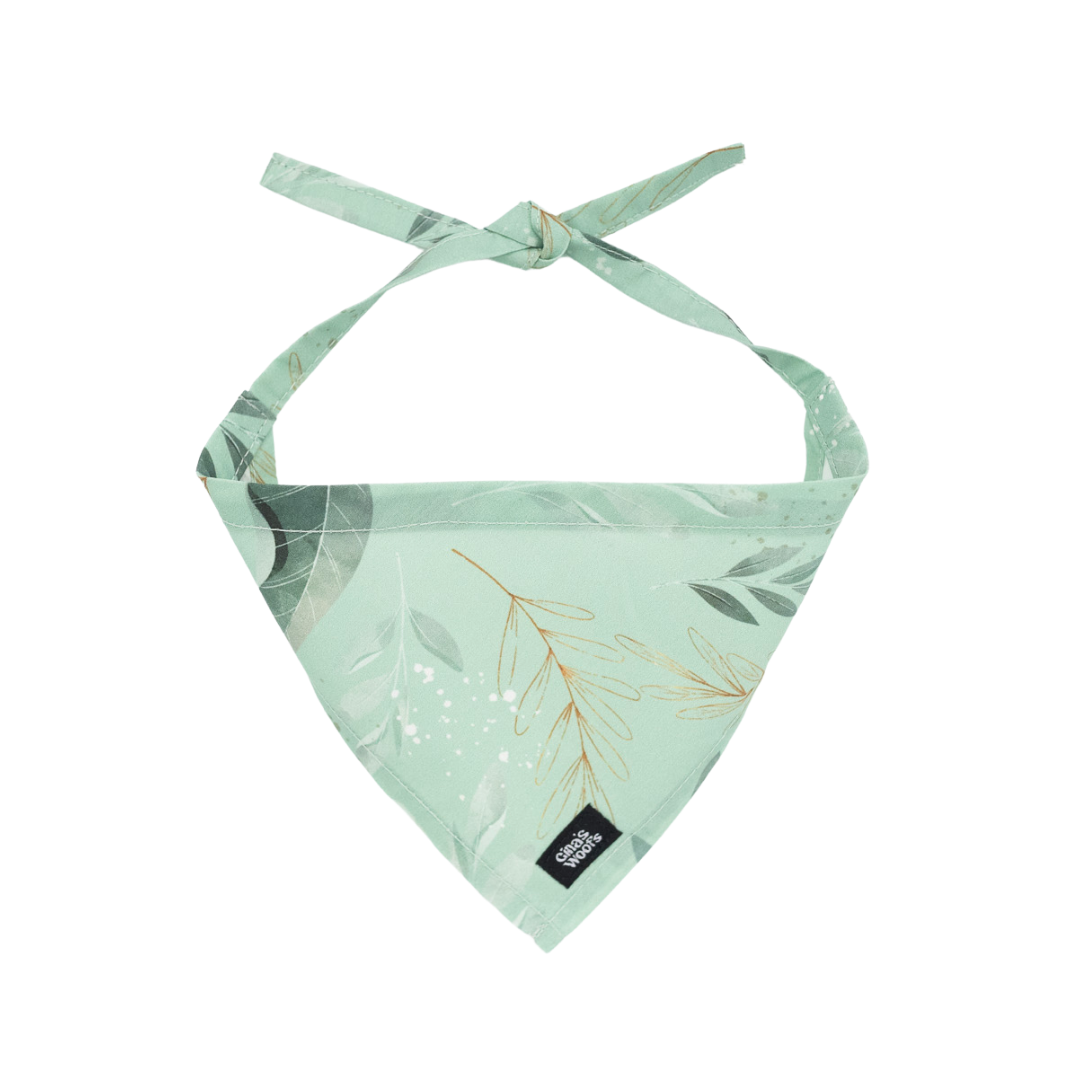 #kolekcija_fever-fetch