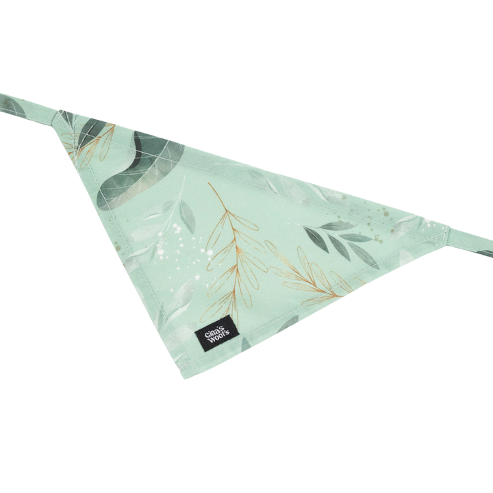 #kolekcija_fever-fetch