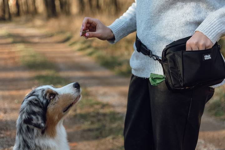 #pas-za-torbico_black