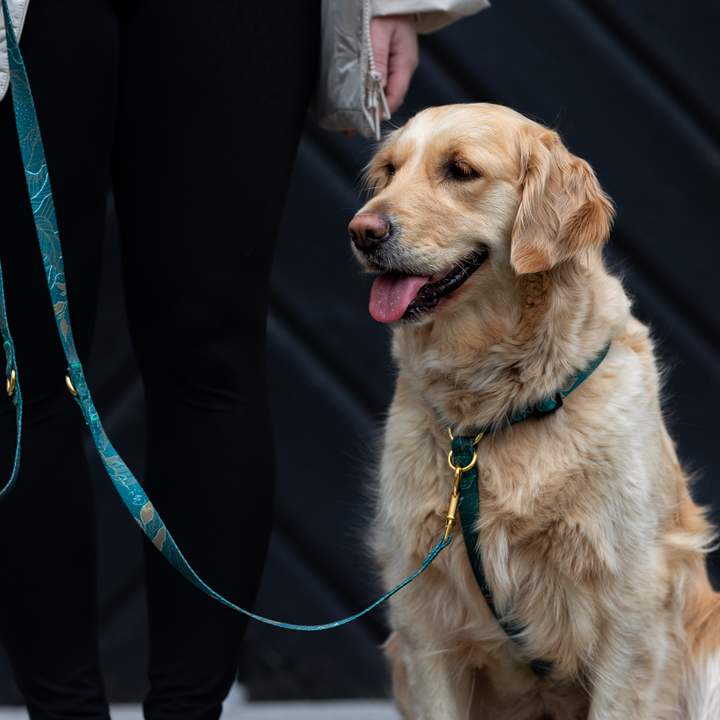 #kolekcija_golden-woods