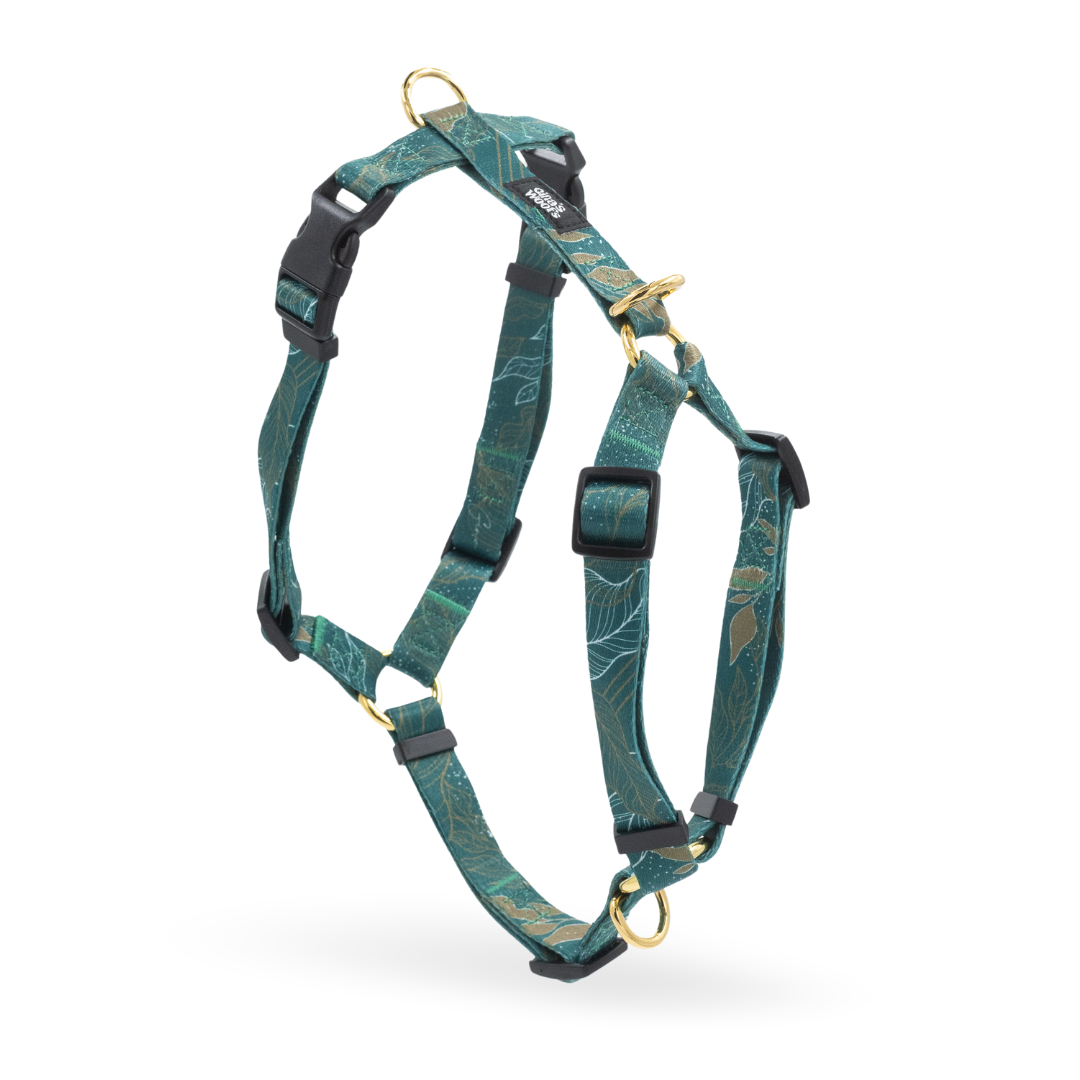 #kolekcija_golden-woods