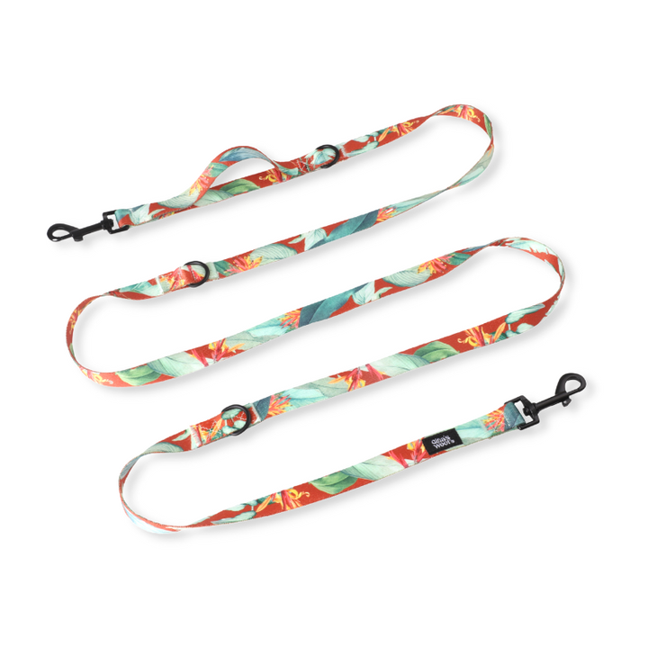 #kolekcija_hoopy-red