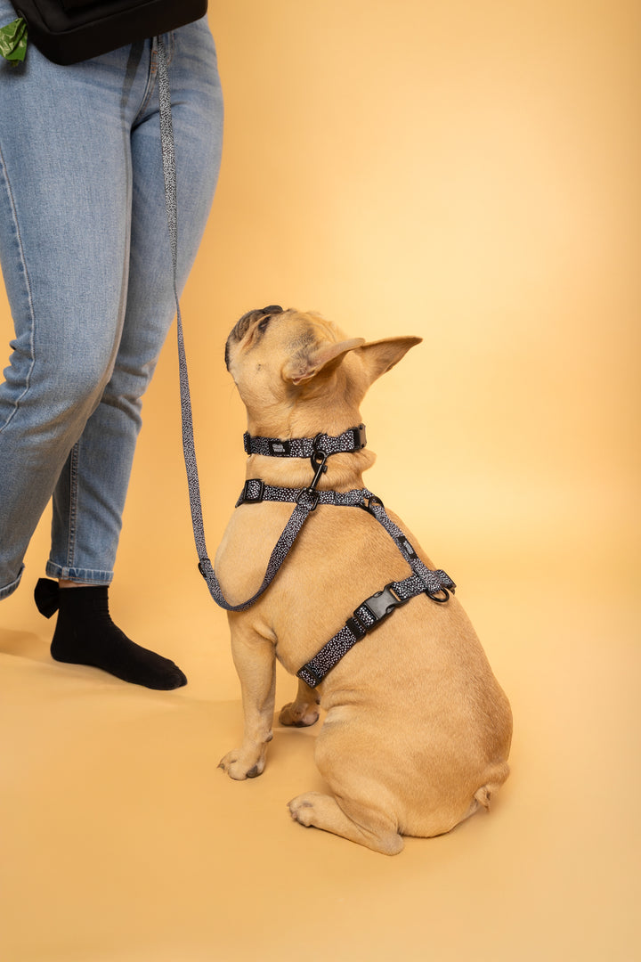 #kolekcija_dots-and-spots