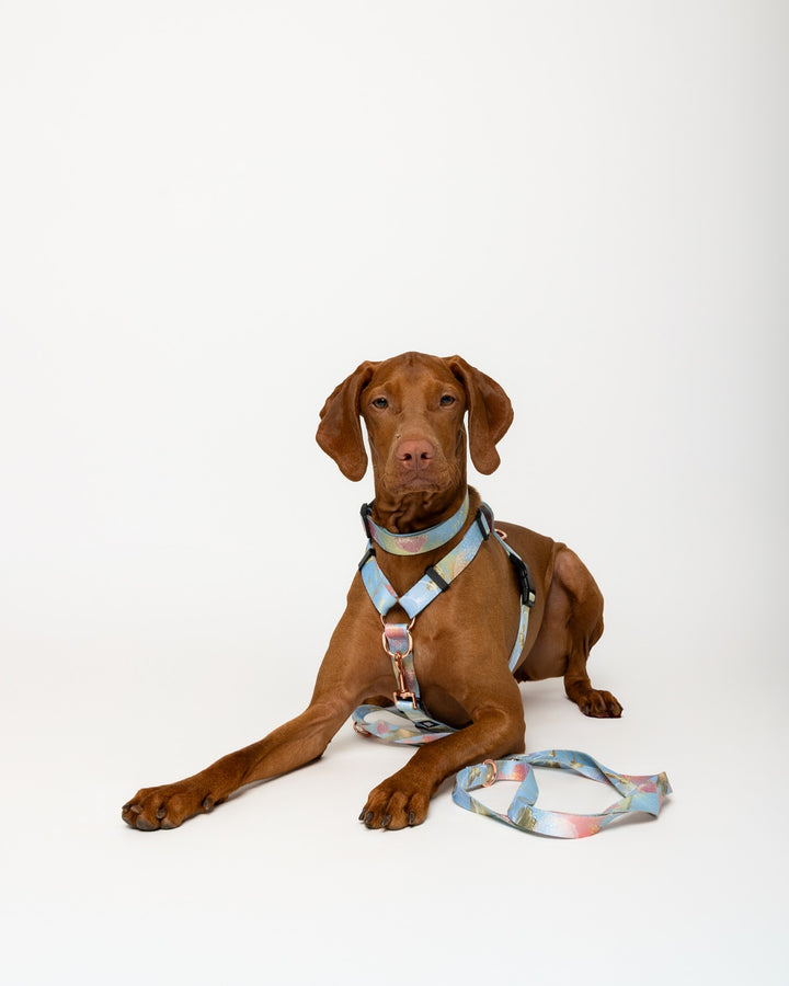 #kolekcija_rosie-blush