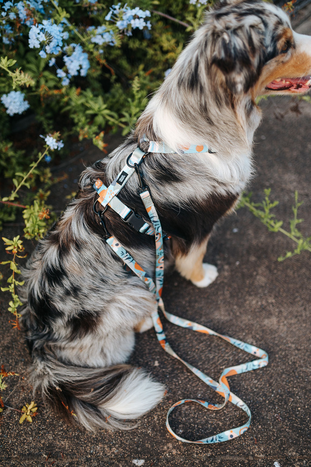 #kolekcija_groovy-vice