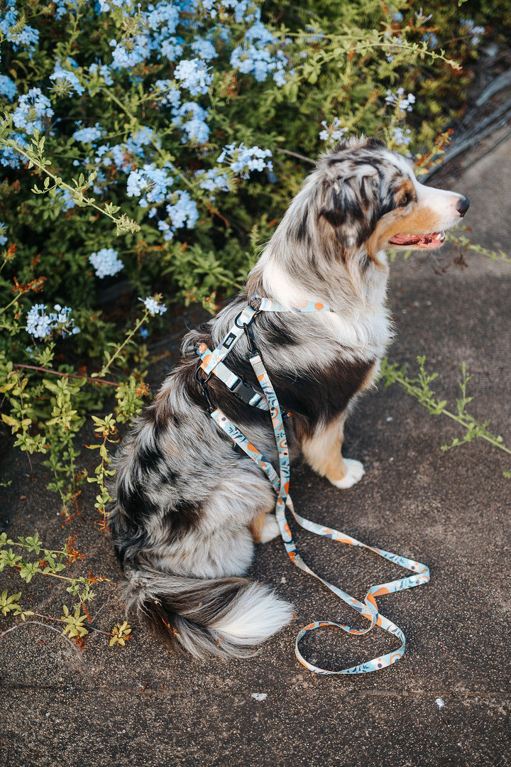 #kolekcija_groovy-vice