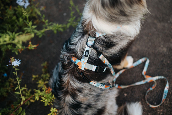 #kolekcija_groovy-vice