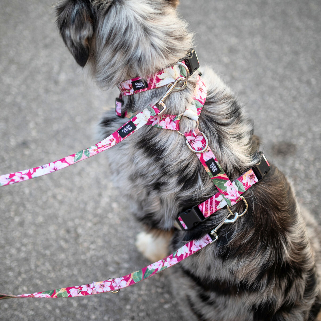 Komplet Wear2 - Magnolia Blossom