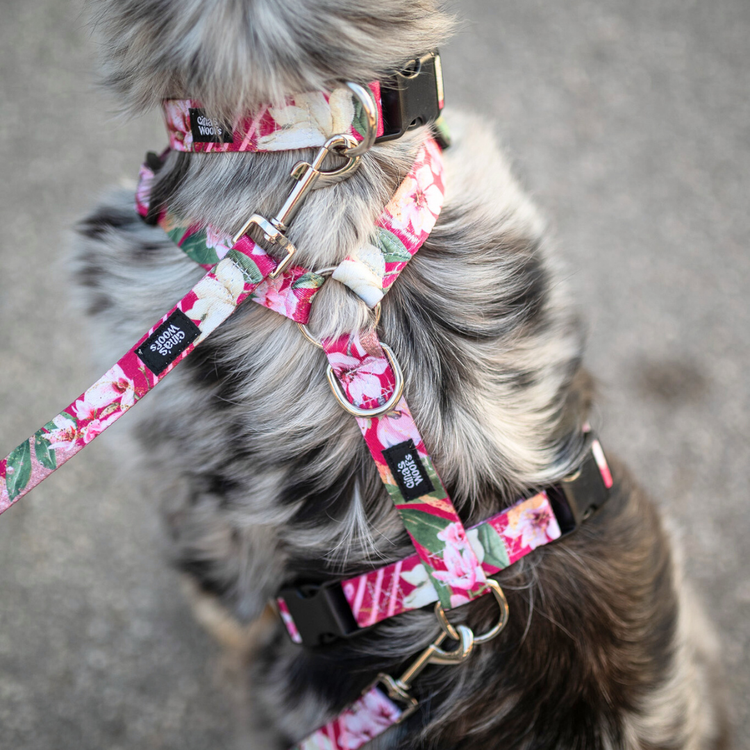 #kolekcija_magnolia-blossom