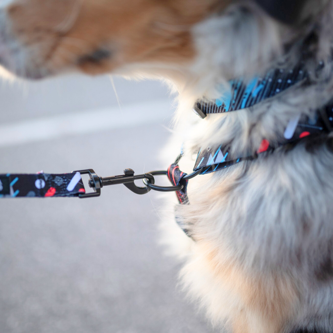 #kolekcija_motion-stride