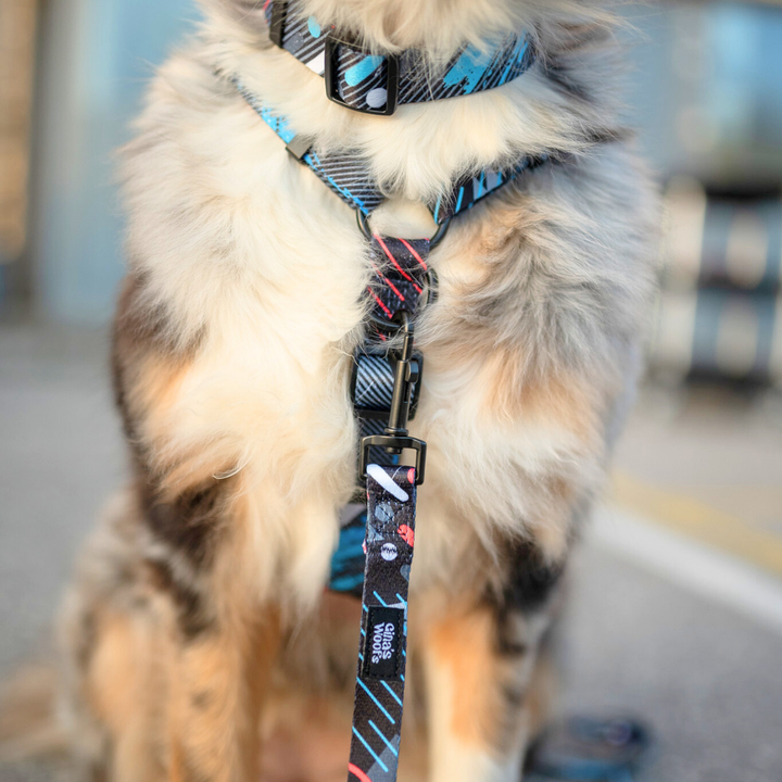 #kolekcija_motion-stride