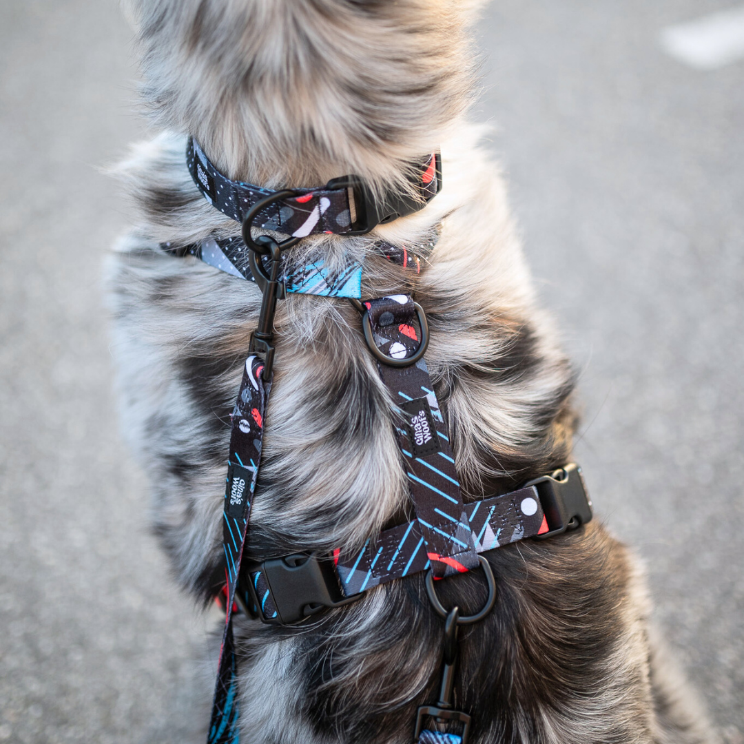 #kolekcija_motion-stride