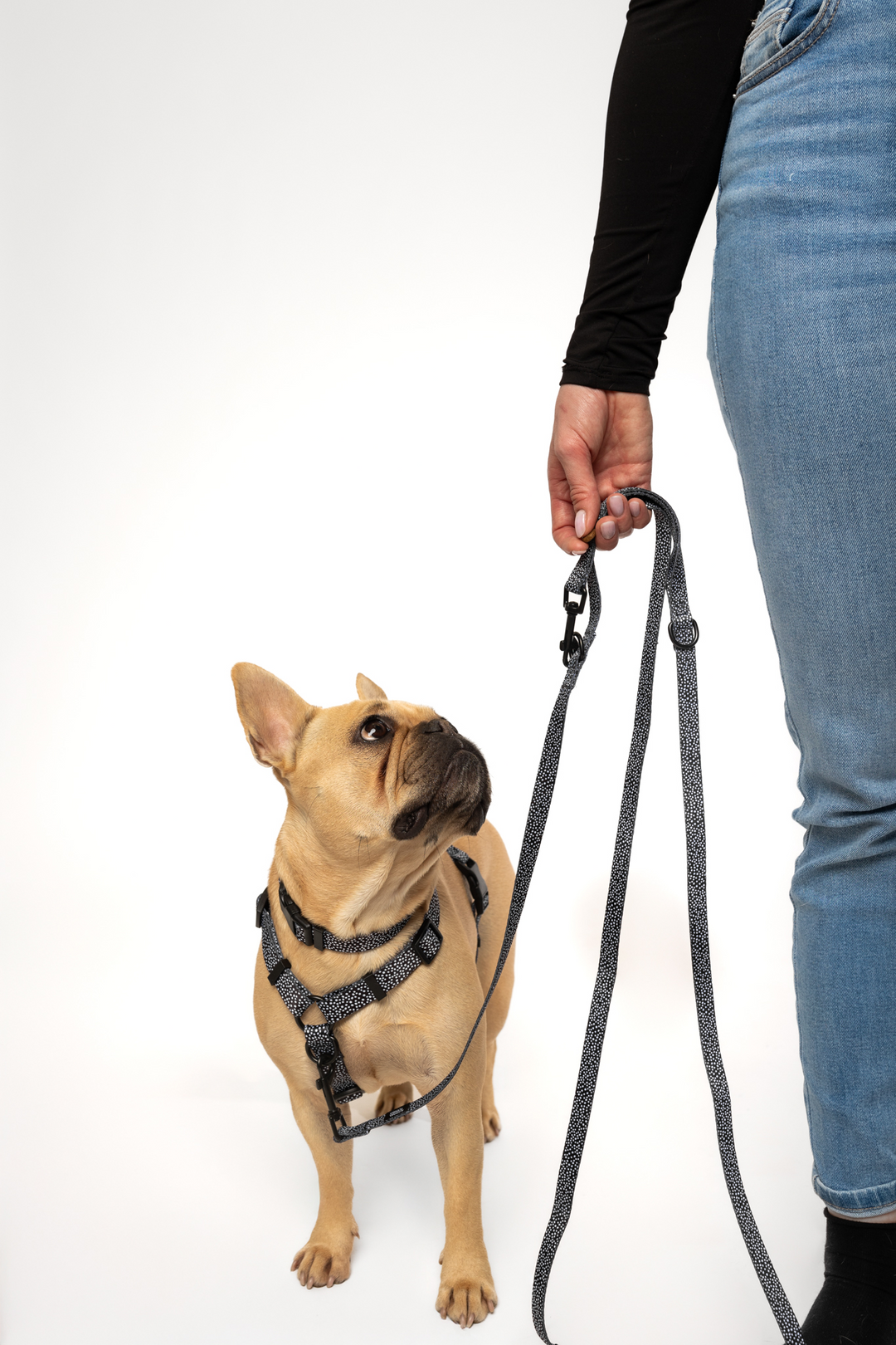 #kolekcija_dots-and-spots