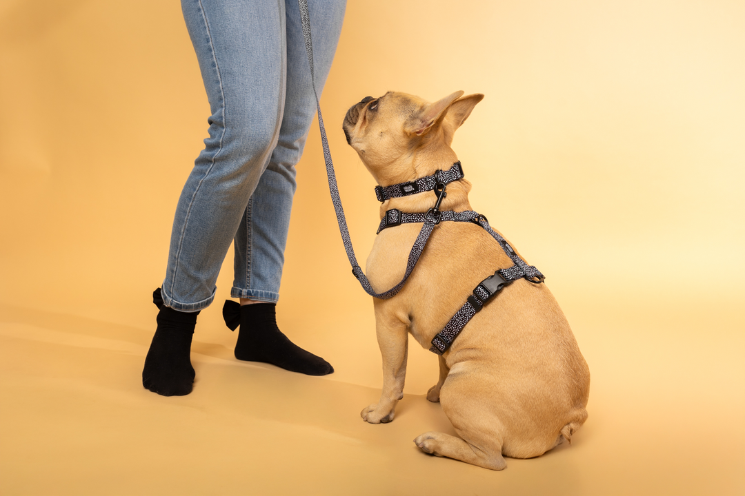 #kolekcija_dots-and-spots