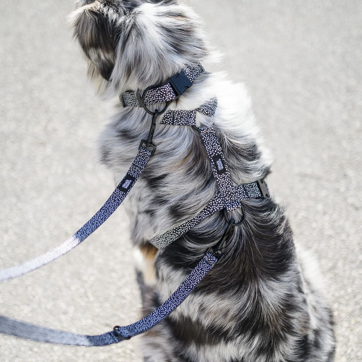 #kolekcija_dots-and-spots