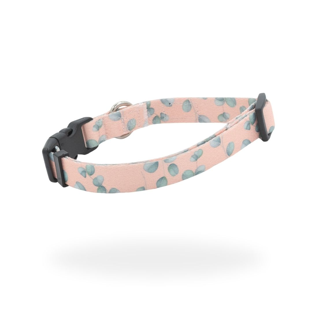 #kolekcija_eucalyptica