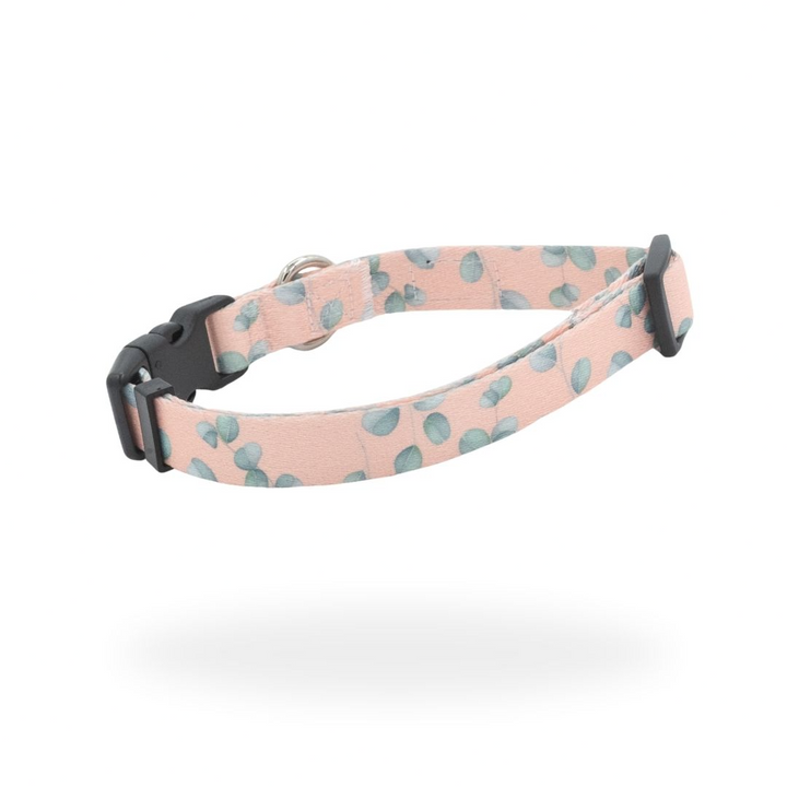 #kolekcija_eucalyptica