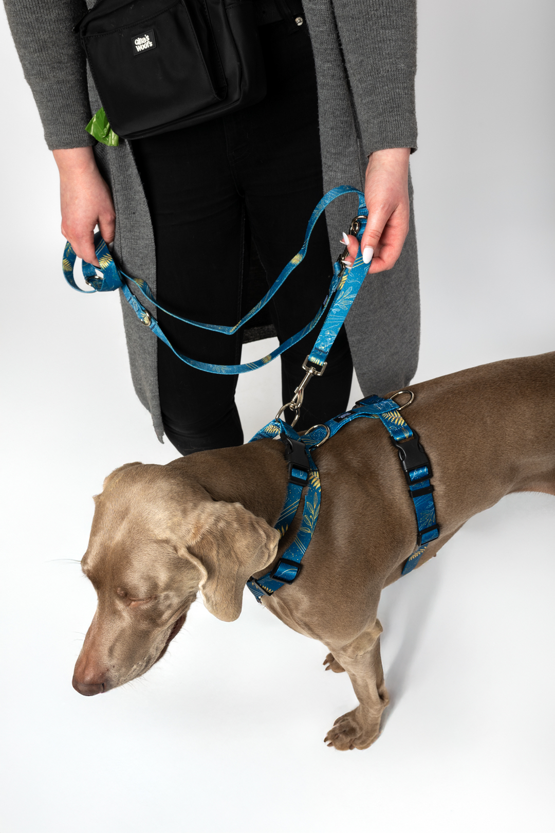 #kolekcija_fern-blue