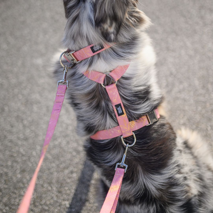 #kolekcija_fern-pink