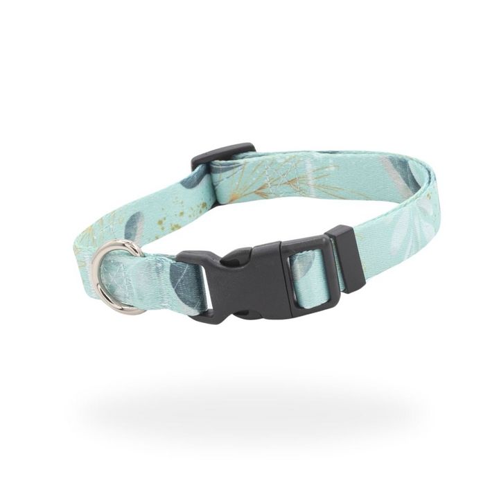 #kolekcija_fever-fetch