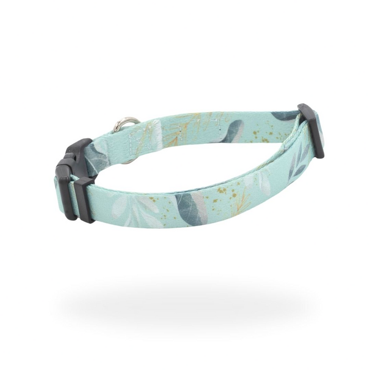 #kolekcija_fever-fetch