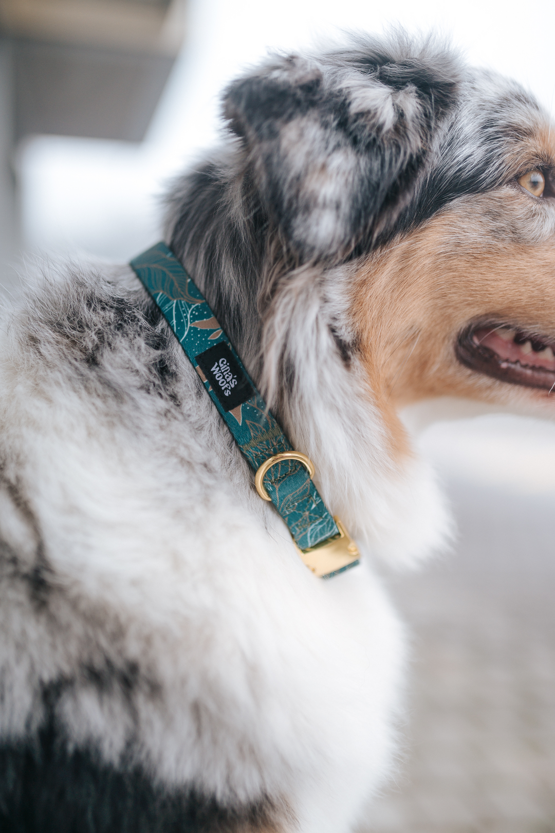 #kolekcija_golden-woods