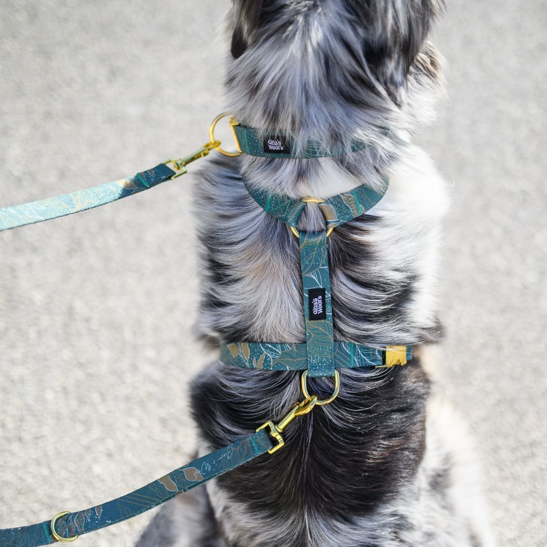 #kolekcija_golden-woods