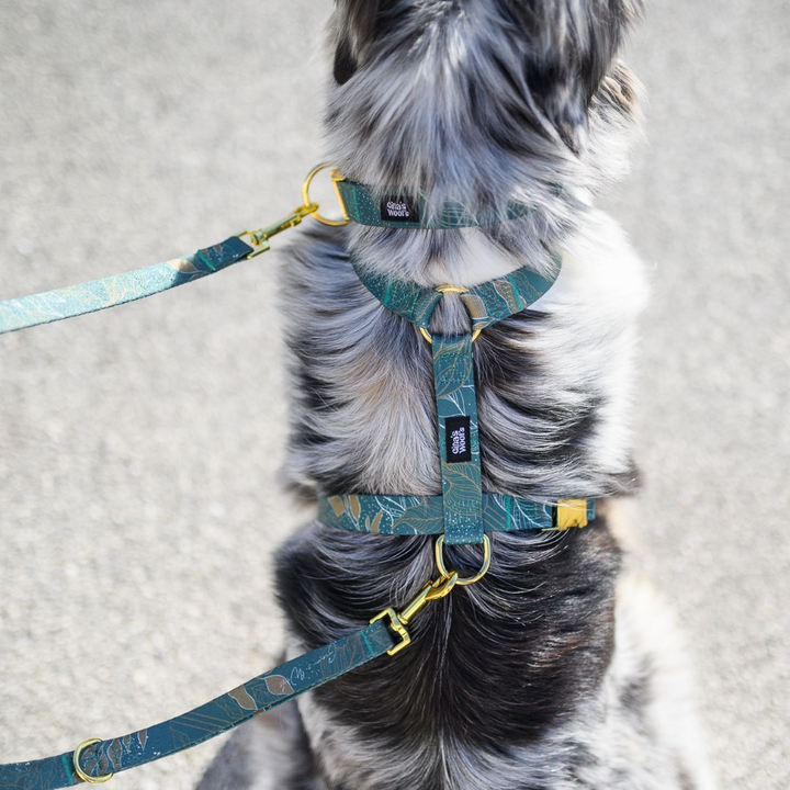 #kolekcija_golden-woods