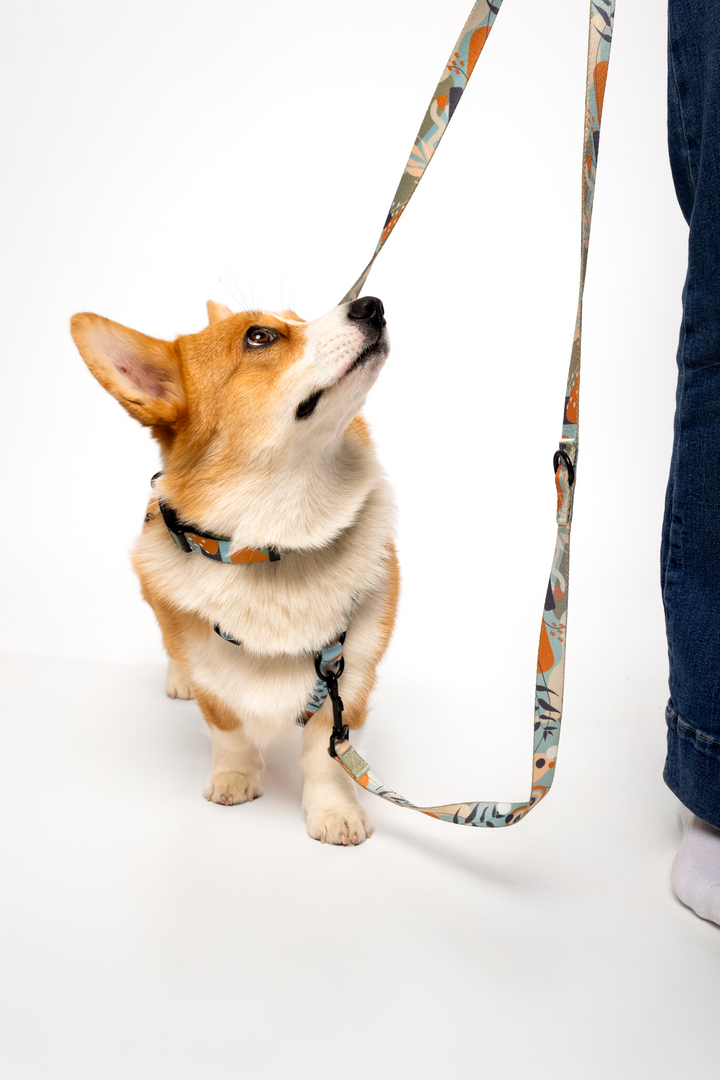 #kolekcija_groovy-vice